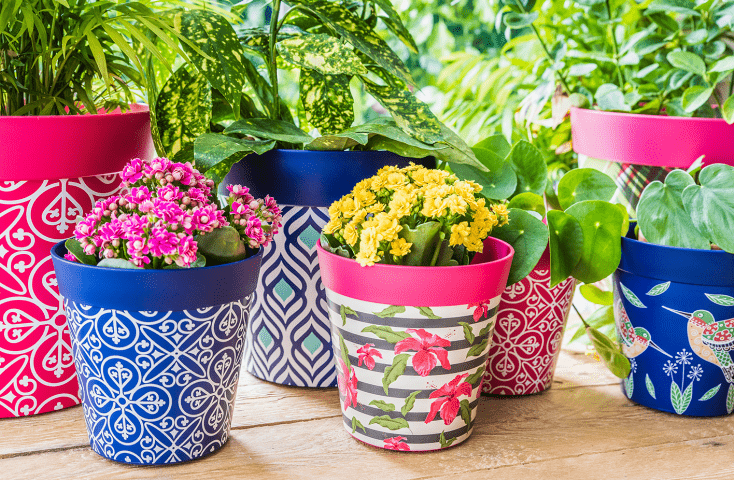 hum flower pots decorated with IML