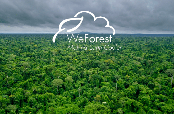 Sustainability Survey yields trees for WeForest